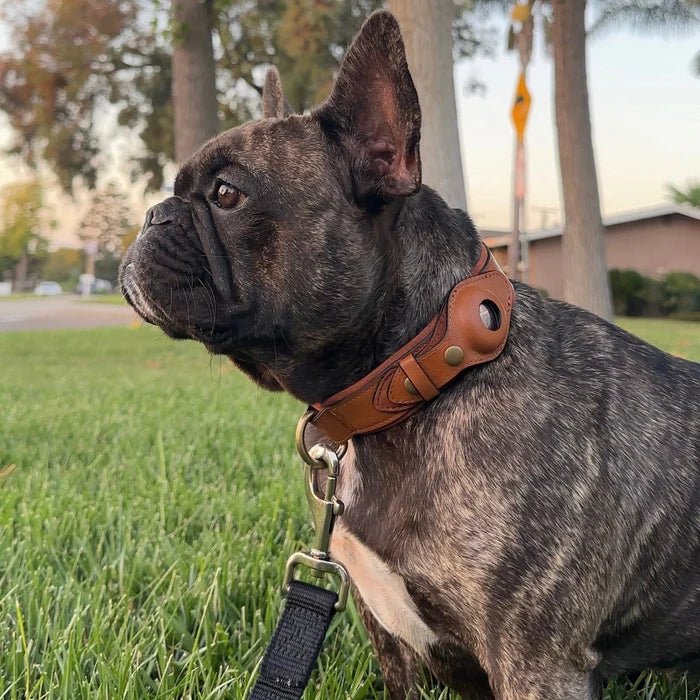 AirTag dog collar in premium recycled leather